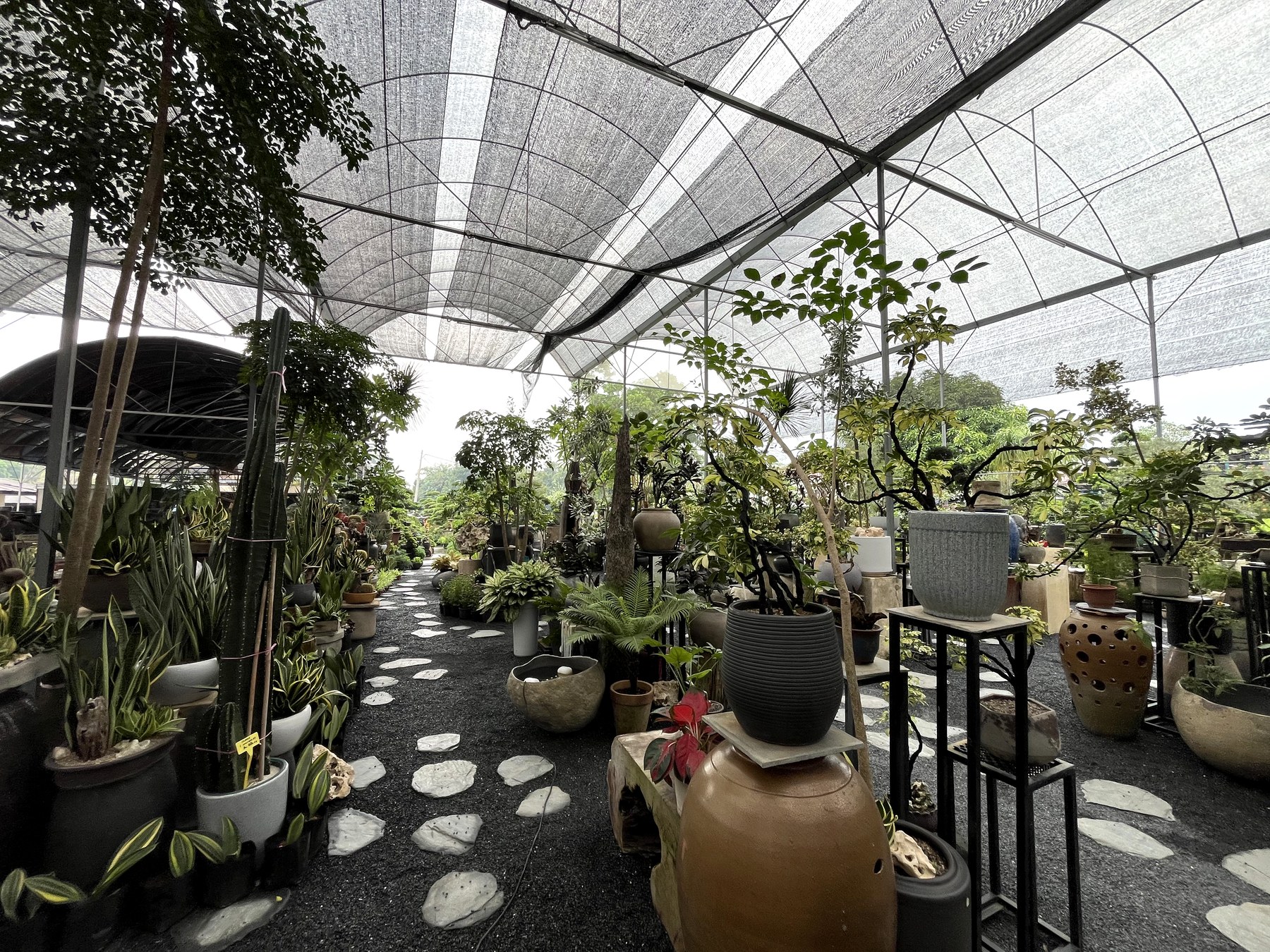 Plants and covered walkway within the operating nursery surroundings